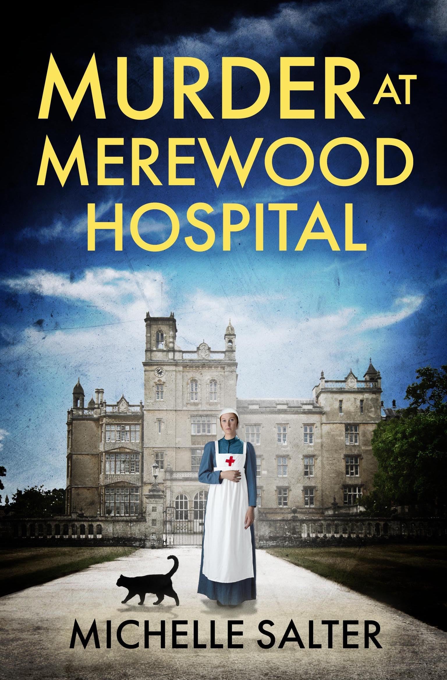 Murder at Merewood Hospital (Kindle Edition)