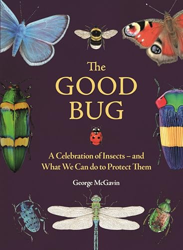 The Good Bug: A Celebration of Insects – and What We Can Do to Protect Them (Hardcover)