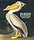 Birds: The Art of Ornithology