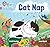 Cat Nap: Phase 2 Set 3