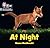At Night: Phase 3 Set 1 Ble...