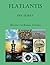 Flatlantis: farbige Version (German Edition)