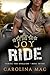 JoyRide (Taming the Stallio...