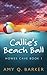 Callie's Beach Ball: Howes ...