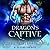 Dragon's Captive (Wardens of the Other Worlds #1)