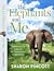 The Elephants and Me: Pursu...