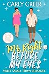 Mr. Right Before My Eyes (Plume Island Romance #3) Mr. Right Before My Eyes (Plume Island Romance #3)