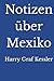 Notizen über Mexiko (German Edition)