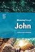 Journey Through John: 50 Biblical Insights by David Cook (Journey Through Series: Gospels & Acts)