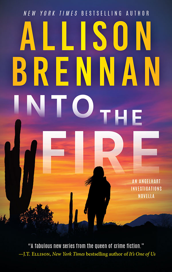 Into the Fire (Angelhart Investigations, #0.5)