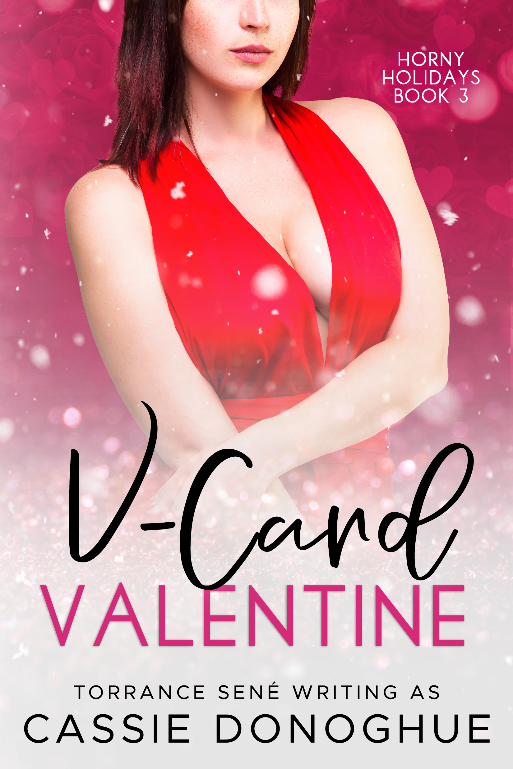 V-Card Valentine (H*rny Holidays, #3)