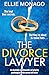 The Divorce Lawyer