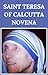 Saint Teresa Of Calcutta Novena by Fr Joey James