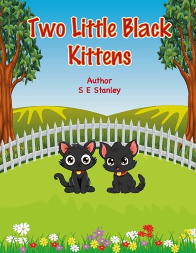 Two Little Black Kittens: A Bedtime Story Book (Paperback)