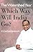 The Watershed Year by P. Chidambaram