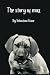The Story Of Max by Sebastian Stone