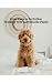 Your New Labradoodle Puppy:...