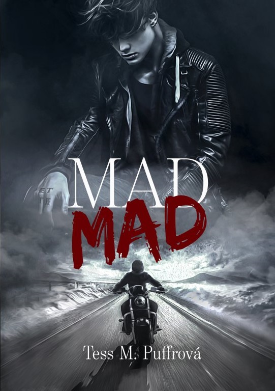 Mad Mad (Zatracená láska, #0)