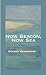 Now Beacon, Now Sea by Steven Hendricks
