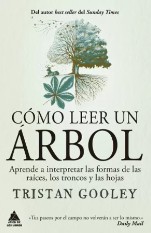 Cómo leer un árbol: Aprende a interpretar las formas de las raíces, los troncos y las hojas