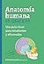 Anatomía humana en gráficos...