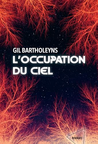 L'Occupation du ciel (Kindle Edition)