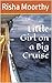 Little Girl on a Big Cruise by Risha Moorthy