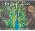 Eternal Love