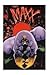 The Maxx #1 (1993) comic book