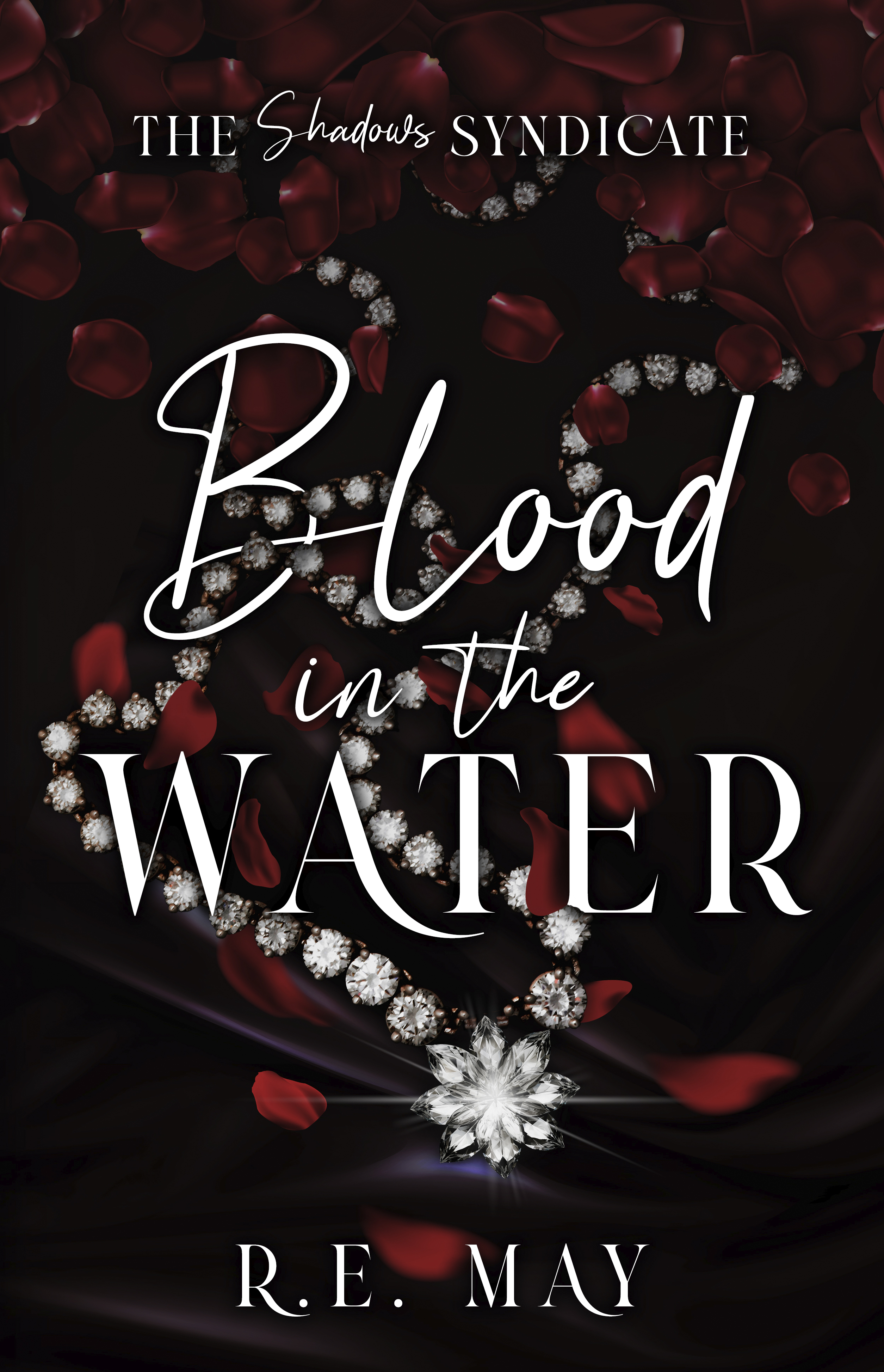 Blood in the Water (The Shadows Syndicate, #1)