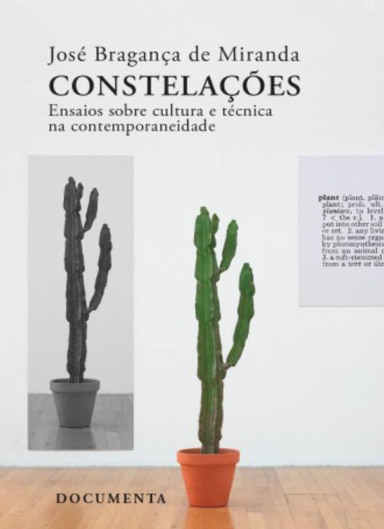 Constelações: Ensaios sobre cultura e técnica na contemporaneidade