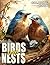 Birds and Nests Coloring Bo...