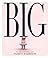 Big by Vashti Harrison