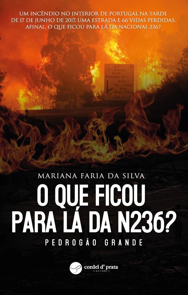 O que ficou para lá da N236? Pedrogão Grande