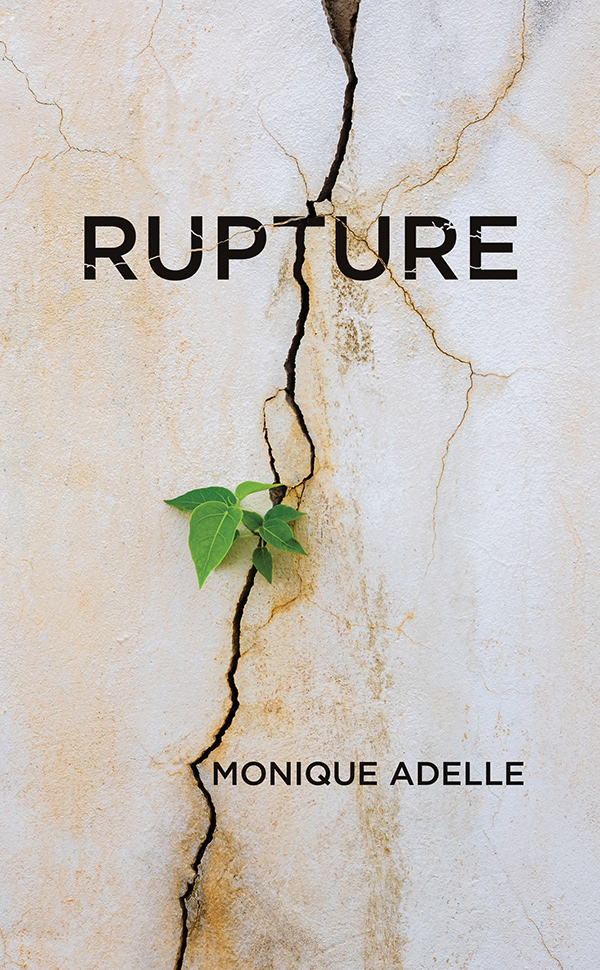 Rupture (Paperback)