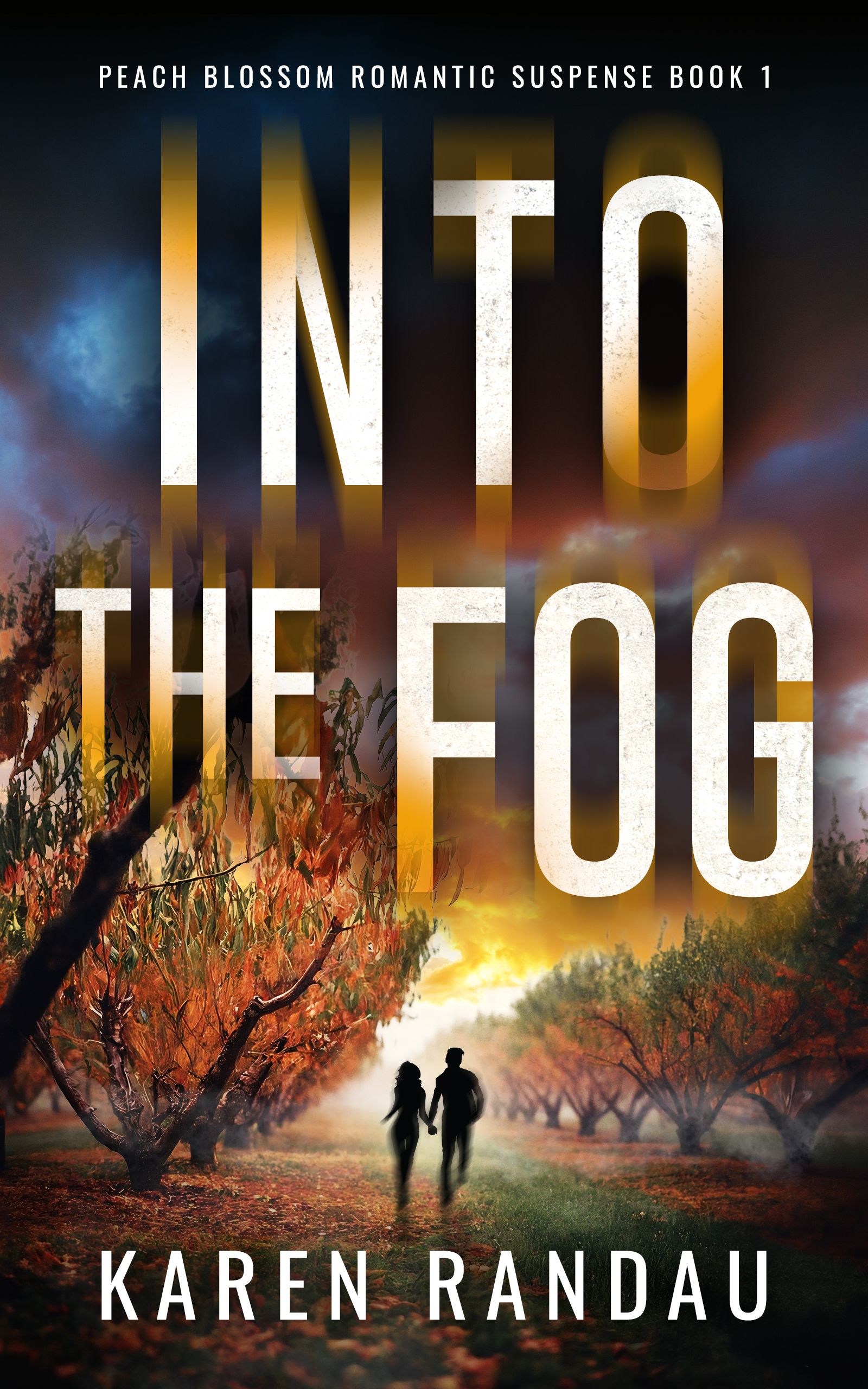 Into the Fog (Kindle Edition)