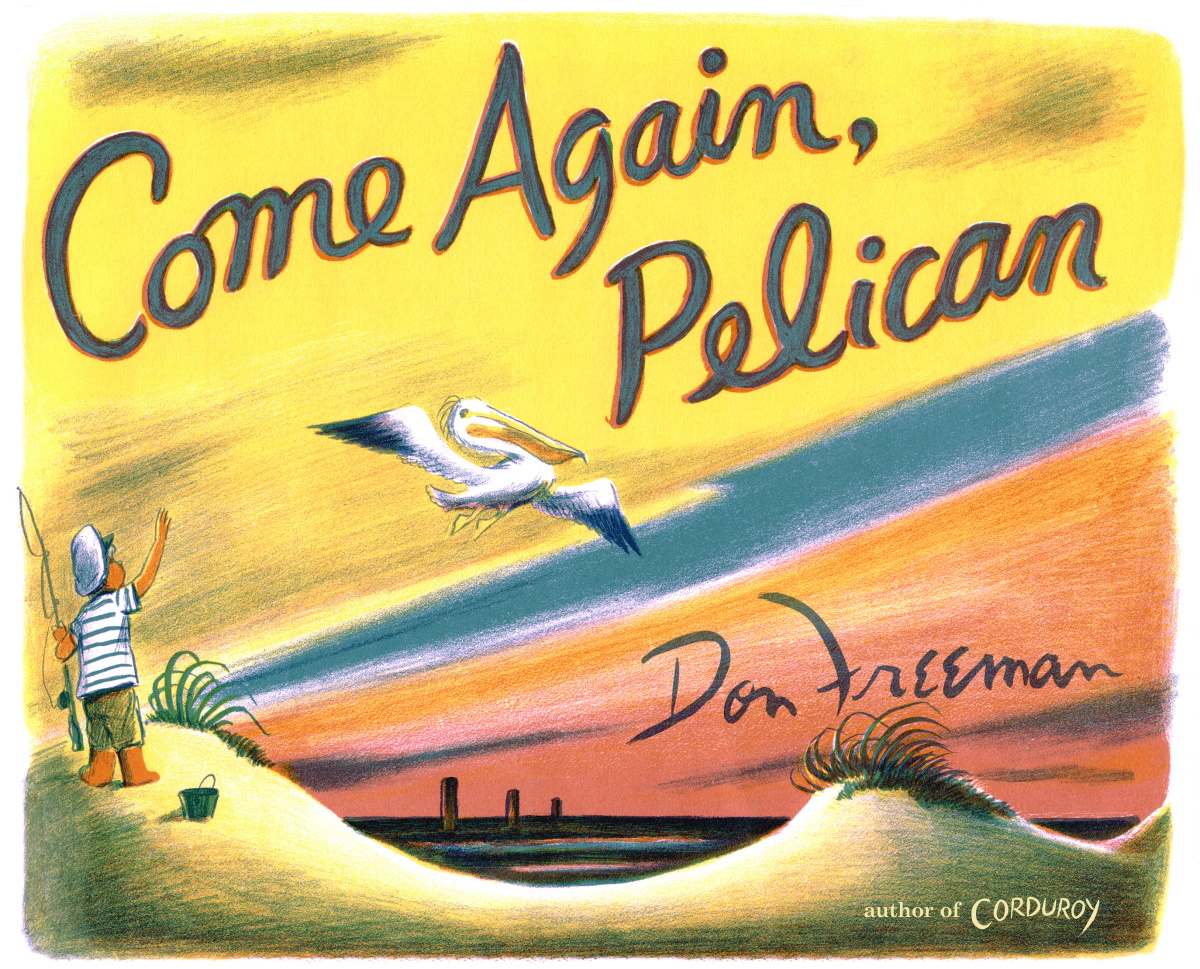 Come Again, Pelican (Hardcover)