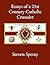 Essays of a 21st Century Catholic Crusader by Steven Speray