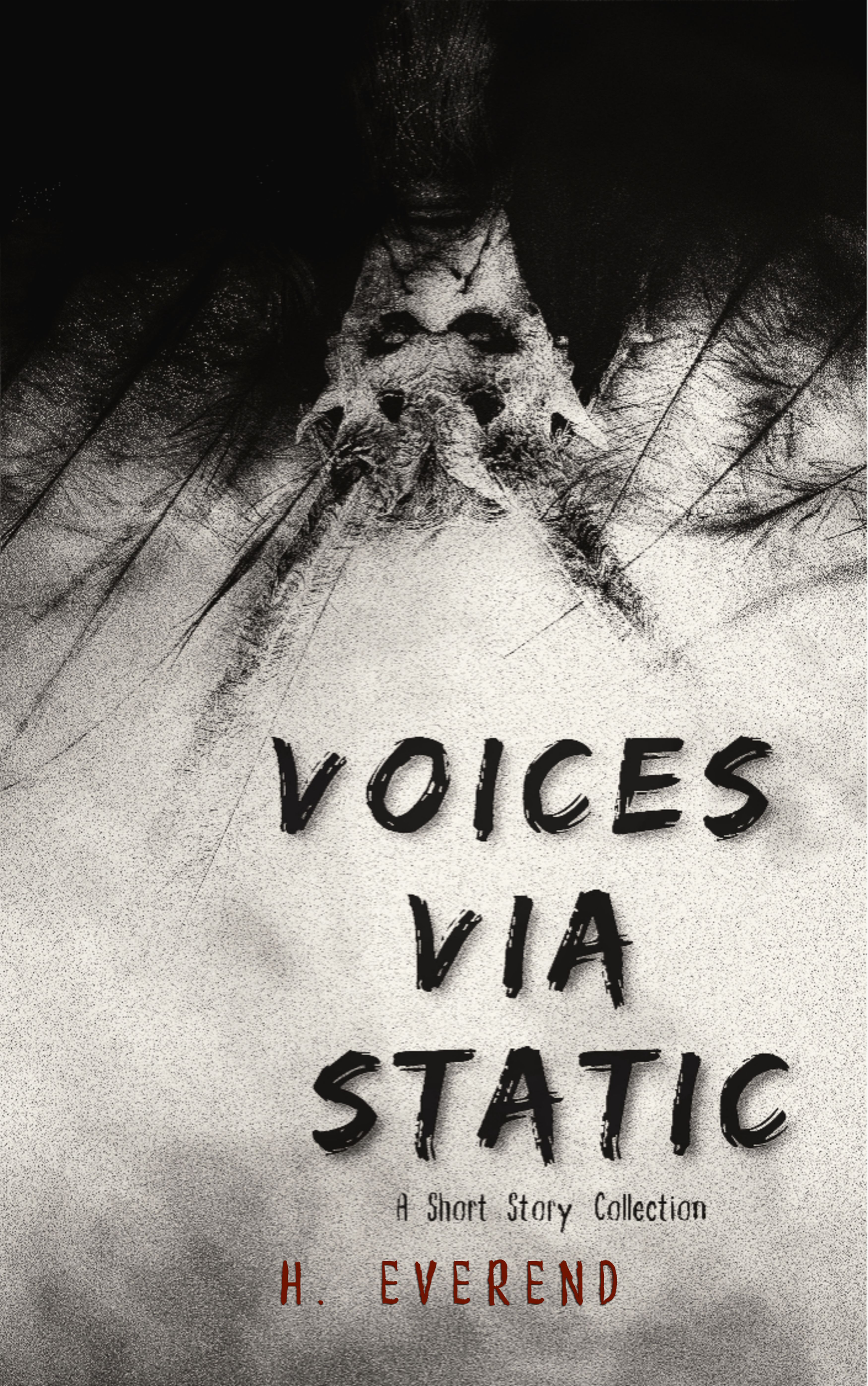 Voices Via Static: A Short Story Collection