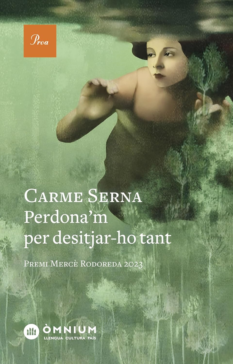 Perdona'm per desitjar-ho tant (Hardcover)