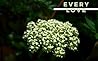 Every Love