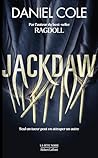 Jackdaw by Daniel Cole
