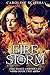 Fire Storm: a Fantasy Adven...