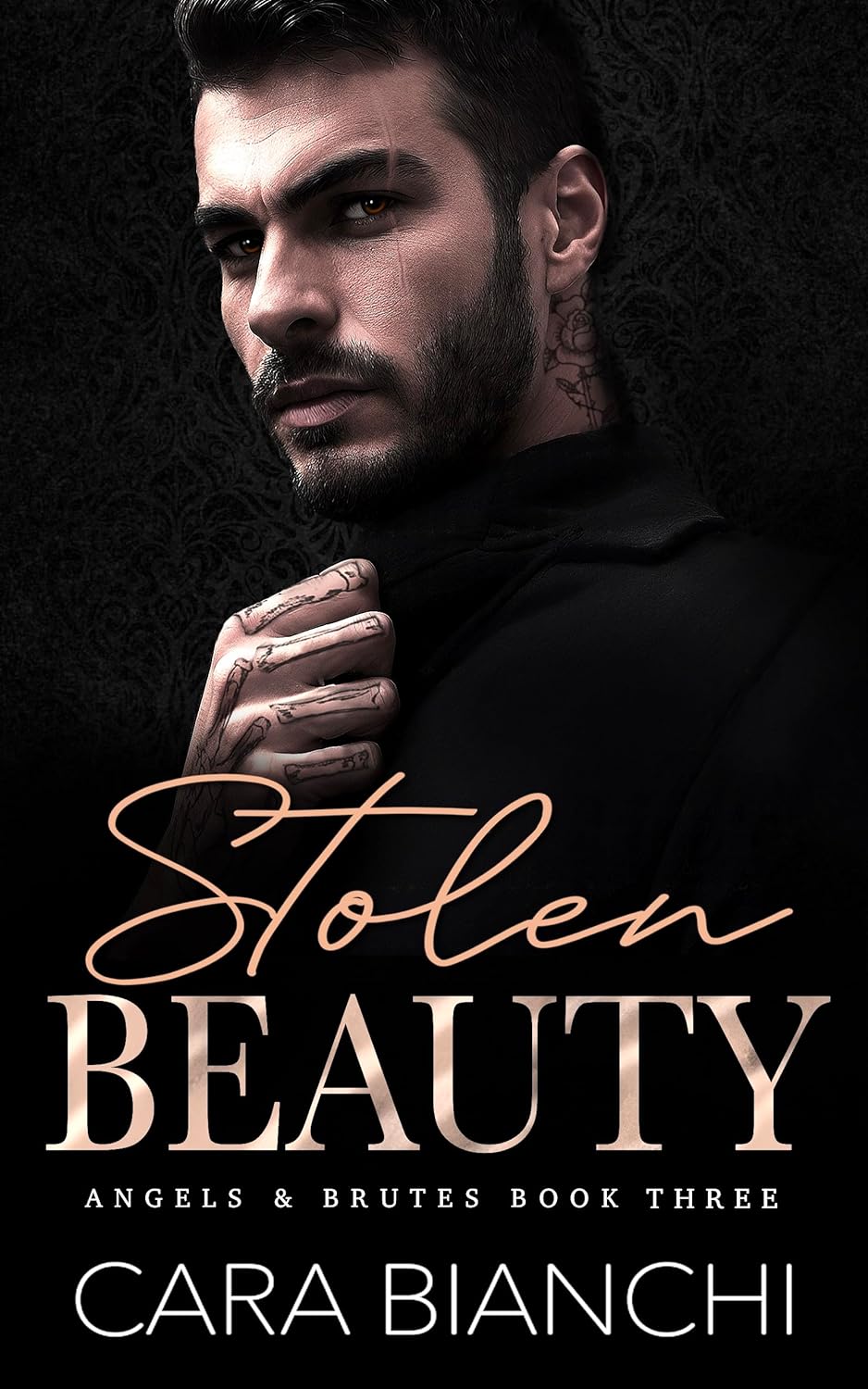 Stolen Beauty (Angels & Brutes #3)