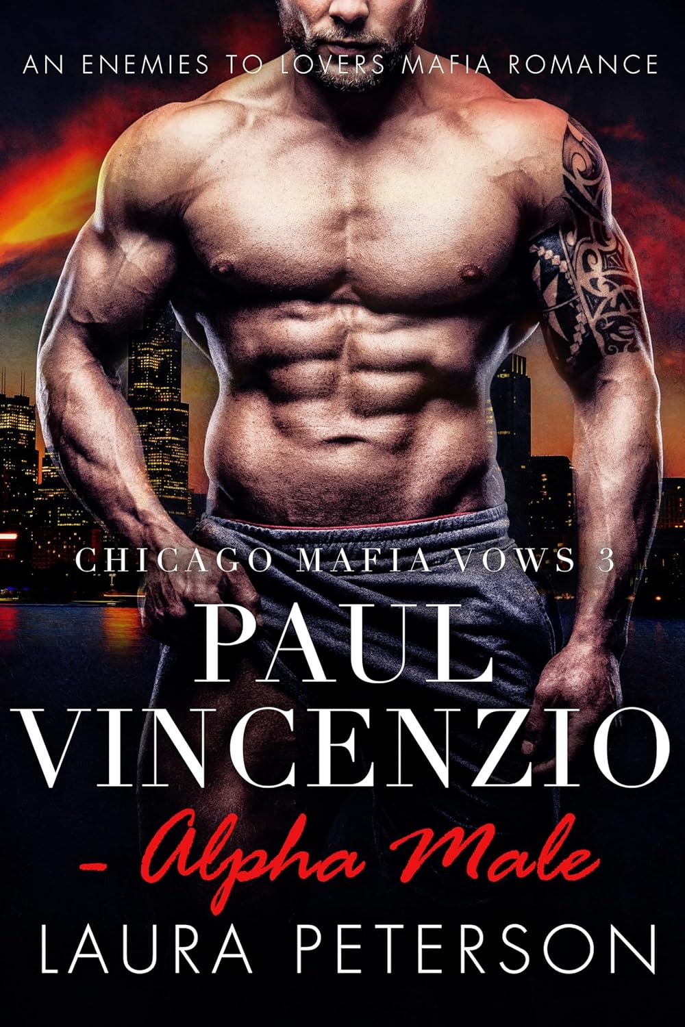 Paul Vincenzio: Alpha Male (Chicago Mafia Vows #3)