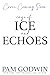 Cage of Ice and Echoes (Frozen Fate Book 2) by Pam Godwin