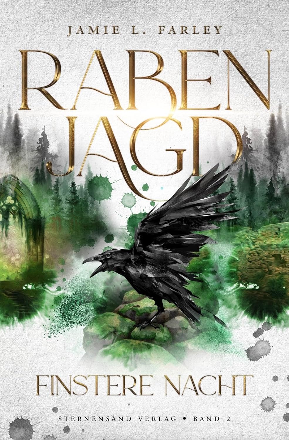 Rabenjagd: Finstere Nacht (Rabenjagd, #2)