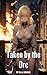 Taken by the Orc: An M/F Da...