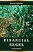 Financial Excel: The crash course to mastery