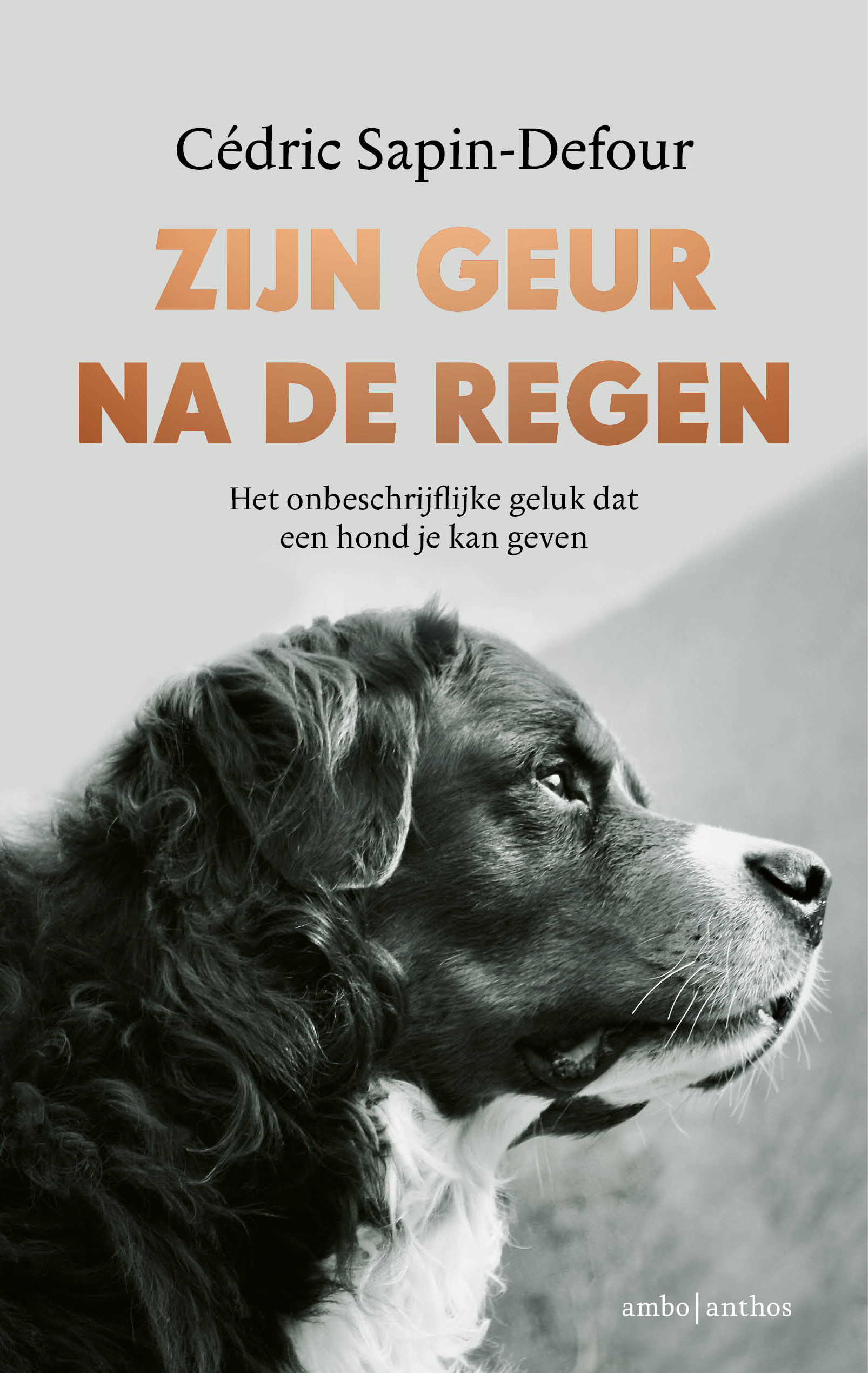 Zijn geur na de regen